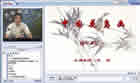 中国花鸟画视频教程 15个文件 西南大学 美术教育